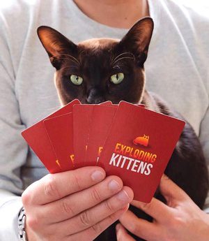 Jogo de Cartas Gato e Boca - Diversão em Família com Gatinhos